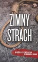 Zimny strach (wydanie pocketowe) - Karin Slaughter