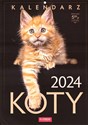 Kalendarz 2024 Koty  books in polish