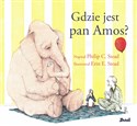 Gdzie jest pan Amos? - Plilip C. Stead