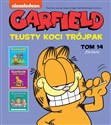 Garfield Tłusty koci trójpak Tom 14 to buy in USA