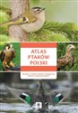 Atlas ptaków Polski  