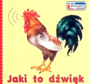 Jaki to dźwięk polish usa