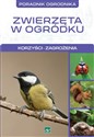 Natura Zwierzęta w ogródku - Polish Bookstore USA
