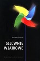 Siłownie wiatrowe to buy in USA