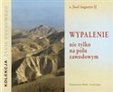 [Audiobook] Wypalenie nie tylko na polu zawodowym - Józef Augustyn