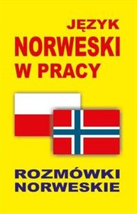 Język norweski w pracy Rozmówki norweskie online polish bookstore