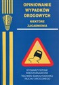 Opiniowanie wypadków drogowych Niektóre zagadnienia 