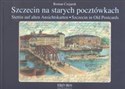 Szczecin na starych pocztówkach Stettin auf alten Anschitskarten - Szczecin in Old Postcards - Roman Czejarek chicago polish bookstore