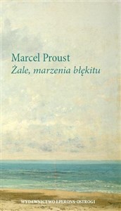 Żale, marzenia błękitu bookstore