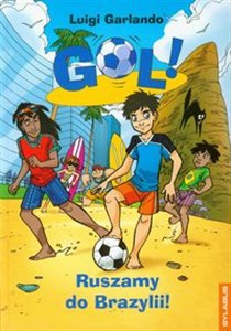 Gol Ruszamy do Brazylii 