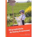 Od przedszkola do Doliny Krzemowej Polish bookstore