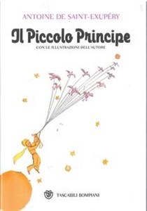 Piccolo Principe Mały Książę Polish Books Canada