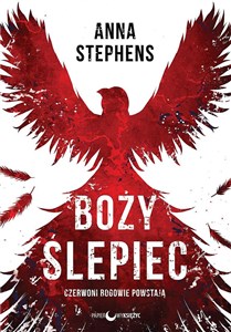 Boży ślepiec. Tom 1 buy polish books in Usa