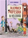 Tajemnica profesora w meloniku - Beata Sarnowska buy polish books in Usa