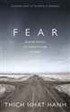 Fear in polish