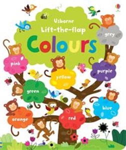 Lift-the-flap Colours Book  - Polish Bookstore USA