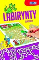 Labirynty - Opracowanie Zbiorowe