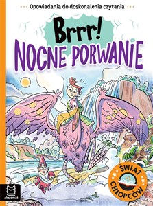 Brrr! Nocne porwanie. Opowiadania do doskonalenia czytania. Świat chłopców  pl online bookstore