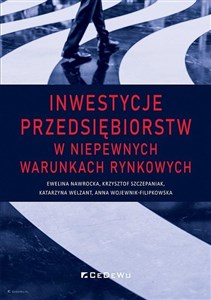 Inwestycje przedsiębiorstw w niepewnych warunkach rynkowych polish usa