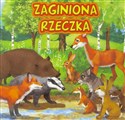 Zaginiona rzeczka Polish bookstore