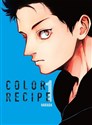 Color Recipe 1 - Harada