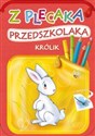 Z plecaka przedszkolaka Królik 