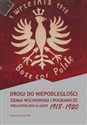 Drogi do niepodległości Ziemia wschowska i pogranicze wielkopolsko-śląskie 1918-1920 -  books in polish