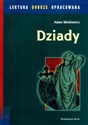 Dziady lektura dobrze opracowana - Adam Mickiewicz