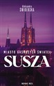 Miasto gasnących świateł. Susza polish usa