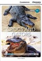Crocs and Gators Polish bookstore