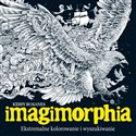 IMAGIMORPHIA. Ekstremalne kolorowanie i wyszukiwanie - Kerby Rosanes