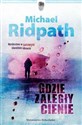 Gdzie zaległy cienie - Michael Ridpath