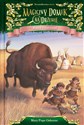 Ranek z bizonami pl online bookstore