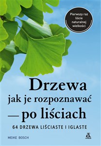 Drzewa Jak je rozpoznawać po liściach 