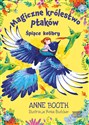 Magiczne królestwo ptaków Śpiące kolibry to buy in Canada