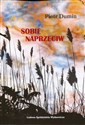 Sobie naprzeciw polish usa