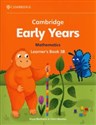 Cambridge Early Years Mathematics Learner's Book 3B  bookstore