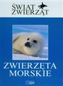 Świat zwierząt Zwierzęta morskie  chicago polish bookstore