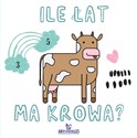 Ile łat ma krowa?   