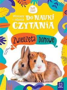 Zwierzęta domowe. Wyrazy i zdania do nauki czytania. Duże litery Polish bookstore
