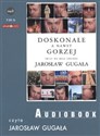 [Audiobook] Doskonale a nawet gorzej Świat we mgle absurdu to buy in USA