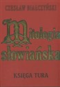 Mitologia słowiańska - Czesław Białczyński