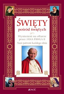 Święty pośród świętych Wyniesieni na ołtarze przez Jana Pawła II Nasi patroni każdego dnia online polish bookstore
