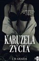 Karuzela życia - J.B. Grajda