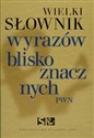 Wielki słownik wyrazów bliskoznacznych PWN + CD  books in polish