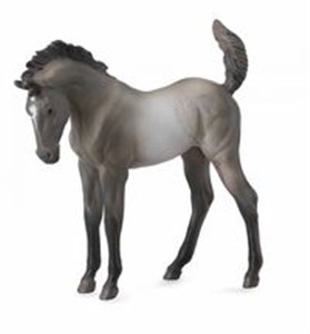 Źrebię Mustang maści Grulla M online polish bookstore