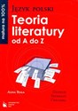 Język polski Teoria literatury od A do Z Definicje, przykłady, ćwiczenia books in polish