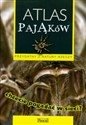 Atlas pająków pl online bookstore