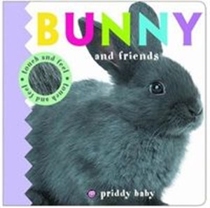 Bunny & Friends Touch and Feel Polish bookstore