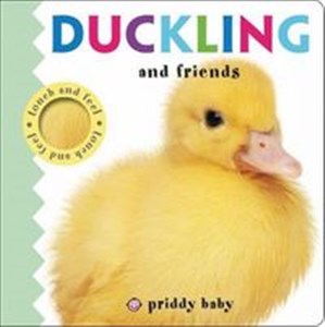 Duckling and Friends Touch and Feel Bookshop
